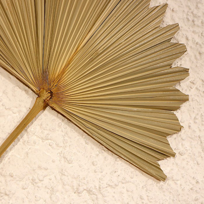 Bambu Dekor Palmiye Üçlü Yelpaze 30x55cm