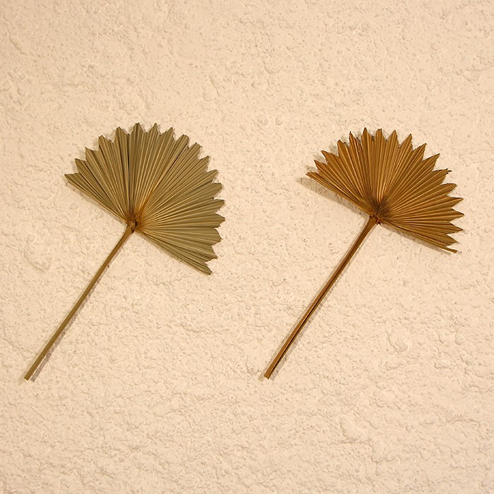 Bambu Dekor Palmiye Üçlü Yelpaze 30x55cm