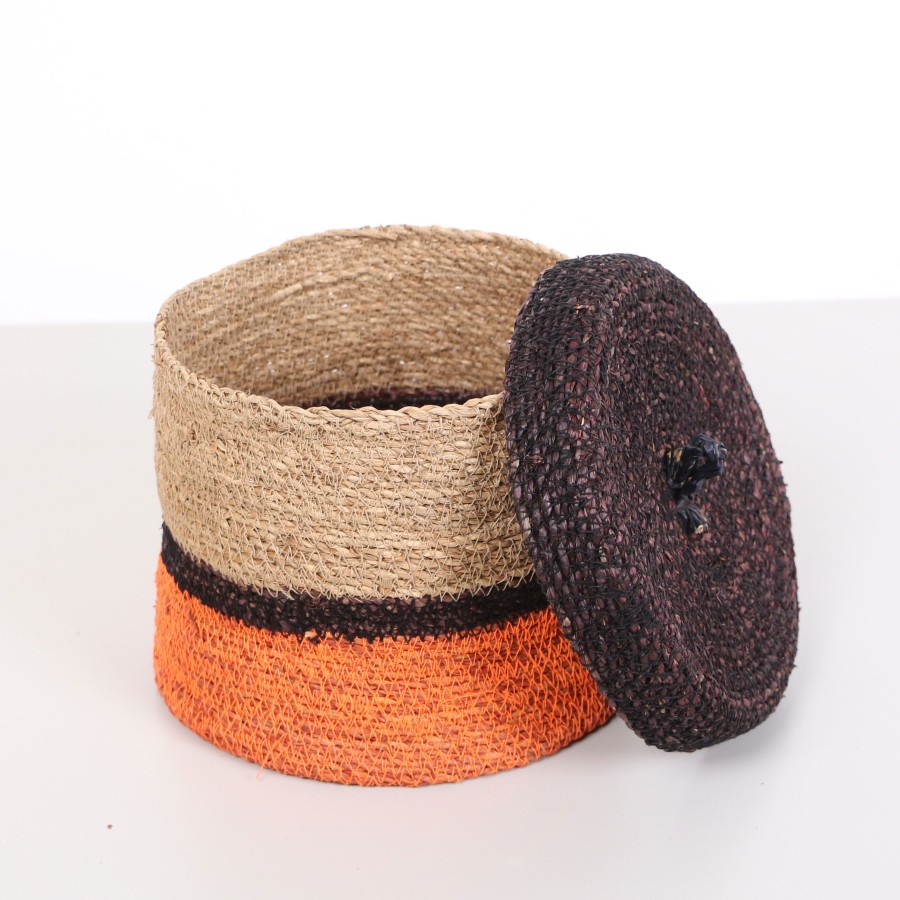 MyLamp Concept | Aydınlatma & Dekorasyon