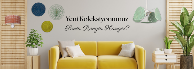 SENİN RENGİN HANGİSİ?
